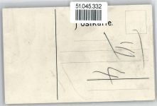 94526 W8354 Metten , Donau Künstlerkarte Benediktinerstift