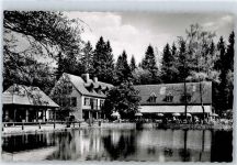 32805 W4934 Leopoldstal , Lippe - Waldrestaurant Silbermühle