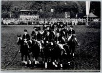 48231 W4410 Warendorf - Hengstparade Landgestüt, Pferd