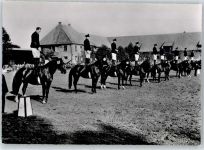48231 W4410 Warendorf - Hengstparade Landgestüt, Pferd