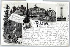 77815 W7580 Plättig , Baden Lithographie Hotel