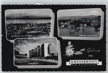 88079 W7993 Kressbronn am Bodensee - Totalansicht mit Alpen, Caritasheim,Landesteg