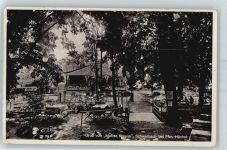 65824 W6231 Schwalbach am Taunus - Gaststätte, Restaurant Mutter Krauss, Gartenansicht