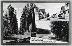 75334 W7541 Schwann - Straßenansicht
