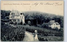 56859 W5584 Alf 1908 - Hotel Walddfrieden mit Dependance