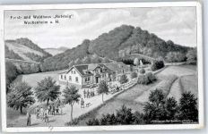 67098 W6706 Wachenheim an der Weinstraße 1909 Lithographie Forst und Waldhaus Rotsteig