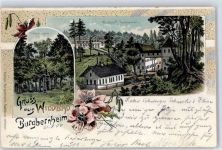 91593 W8801 Burgbernheim Lithographie 1904 Teufels Häuschen Wildbad