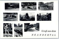 Neandertal