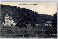 78194 W7717 Immendingen 1915 - Villa am Walde