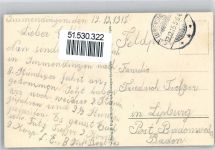 78194 W7717 Immendingen 1915 - Villa am Walde