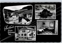 67661 W6751 Waldleiningen , Pfalz - Gasthaus Zum Grünen Tal