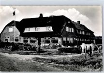 25980 W2280 Rantum (Sylt) - Gasthaus Pension Boysen