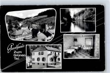 67661 W6751 Waldleiningen , Pfalz - Gasthaus Zum grünen Tal