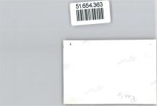 46459 W4242 Rees Privatfoto KEINE AK Ort handschriftlich