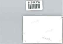 46459 W4242 Rees Privatfoto KEINE AK Ort handschriftlich