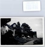 46459 W4242 Rees Privatfoto KEINE AK Ort handschriftlich