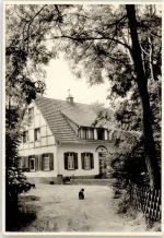 48268 W4402 Greven , Westf Foto AK