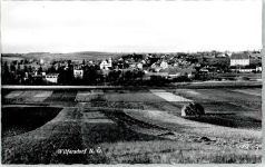2193 Wilfersdorf Foto AK