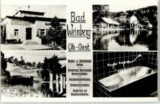 4731 Weinberg Foto AK