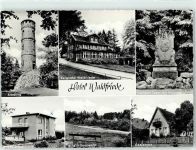 55629 W6577 Waldfriede - Hotel Waldfriede Alteburg