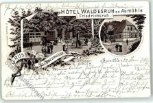 21521 W2055 Friedrichsruh b Hamburg 1896 Lithographie Hotel Waldesruh zu Aumühle
