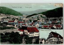 77960 W7633 Seelbach , Schutter 1911 - Genesungsheim Tretenhof