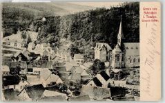 61389 W6384 Schmitten , Taunus - 1905