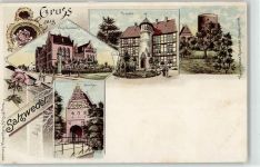 29410 O3560 Salzwedel , Hansestadt Lithographie Steintor Gymnasium Propstei