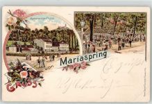 37120 W3406 Eddigehausen 1898 Lithographie Mariaspring mit Plesse Anlagen