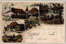 64560 W6086 Erfelden 1908 - Gasthaus Forsthaus Kühkopf Ort lt. Stempel