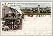 65343 W6228 Rauenthal , Rheingau 1902 - Hotel Rheingauer Hof Besitzer C. Weber