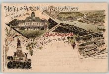 65385 W6220 Niederwald , Jagdschloß - Hotel Pension Inhaber Joh. A. Jung Nationaldenkmal zum Anker Assmannshausen