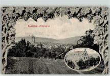 65343 W6228 Rauenthal , Rheingau 1913 - Winzerhalle