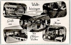 67661 W6751 Waldleiningen , Pfalz - Gasthaus Pension Mertel