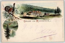 72270 W7292 Ruhestein