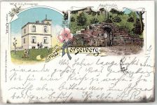 99848 O5909 Schönau b Eisenach, Thür Lithographie Jesusbrünnlein Horselberg