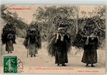 52000 Chaumont 1913 - Tracht Frauen Holzträger