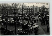 Ciney - Viehmarkt