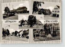 29303 W3103 Bergen , Kr Celle - VW Käfer