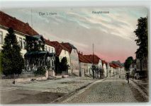31008 W3210 Elze , Leine 1906 - Hauptstraße