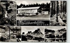 92696 W8481 Flossenbürg - Naabquelle Silberhütte Silberbach Weiher Ruine Gasthaus