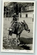 Malaga Foto AK Volkstypen Burro de Carga - Esel AK