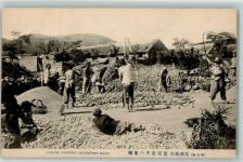 Lanwirtschaft Maisanbau Motiv China