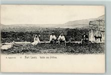 Port Louis - Vallee des Pretres