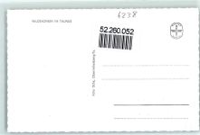 65719 W6238 Wildsachsen