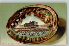 New Jersey Lithographie St. Charles Hotel Atlantic City Muschel Passepartout