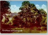 57250 W5902 Netphen FOTO KEINE AK Lahnquelle Foto Original aus Archiv eines Ansichtskartenverlages Ort lt. Recherche