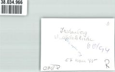 83737 W8161 Irschenberg - Wallfahrtskirche Foto Original aus Archiv eines Ansichtskartenverlages