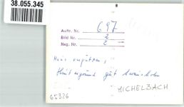 65326 W6209 Michelbach , Untertaunuskr FOTO KEINE AK Ort handschriftlich Foto Original aus Archiv eines Ansichtskartenverlages