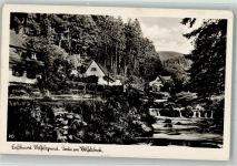 Wölfelsgrund Miedzygorze Foto AK